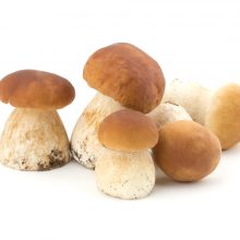 Brined mushrooms