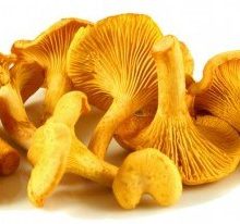 Fresh mushrooms